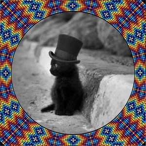 Meet your Posher, Roberta